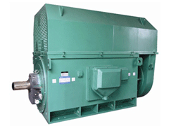 YKS5603-12Y系列6KV高压电机