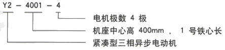 YR系列(H355-1000)高压YKS5603-12三相异步电机西安西玛电机型号说明